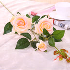 9eedaab6792dc3569c05114f7eadccc6