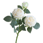 50cb4075c7314381992d3fc1b77559bc